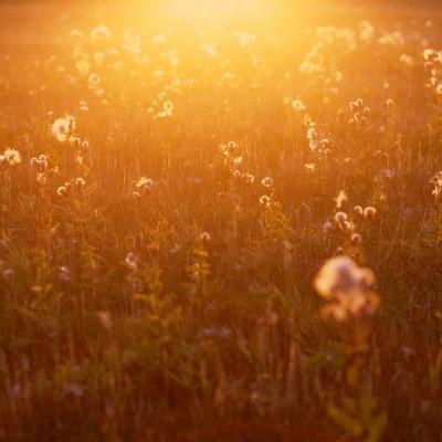 1920 x 1080 HD Wallpapers 1681